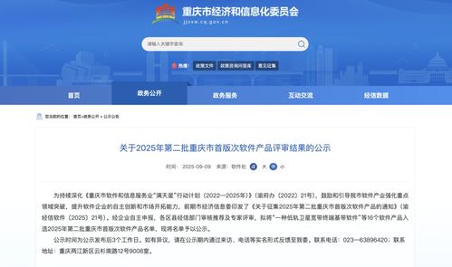 2025年第二批重慶市首版次軟件產品名單公示，引領行業創新與發展